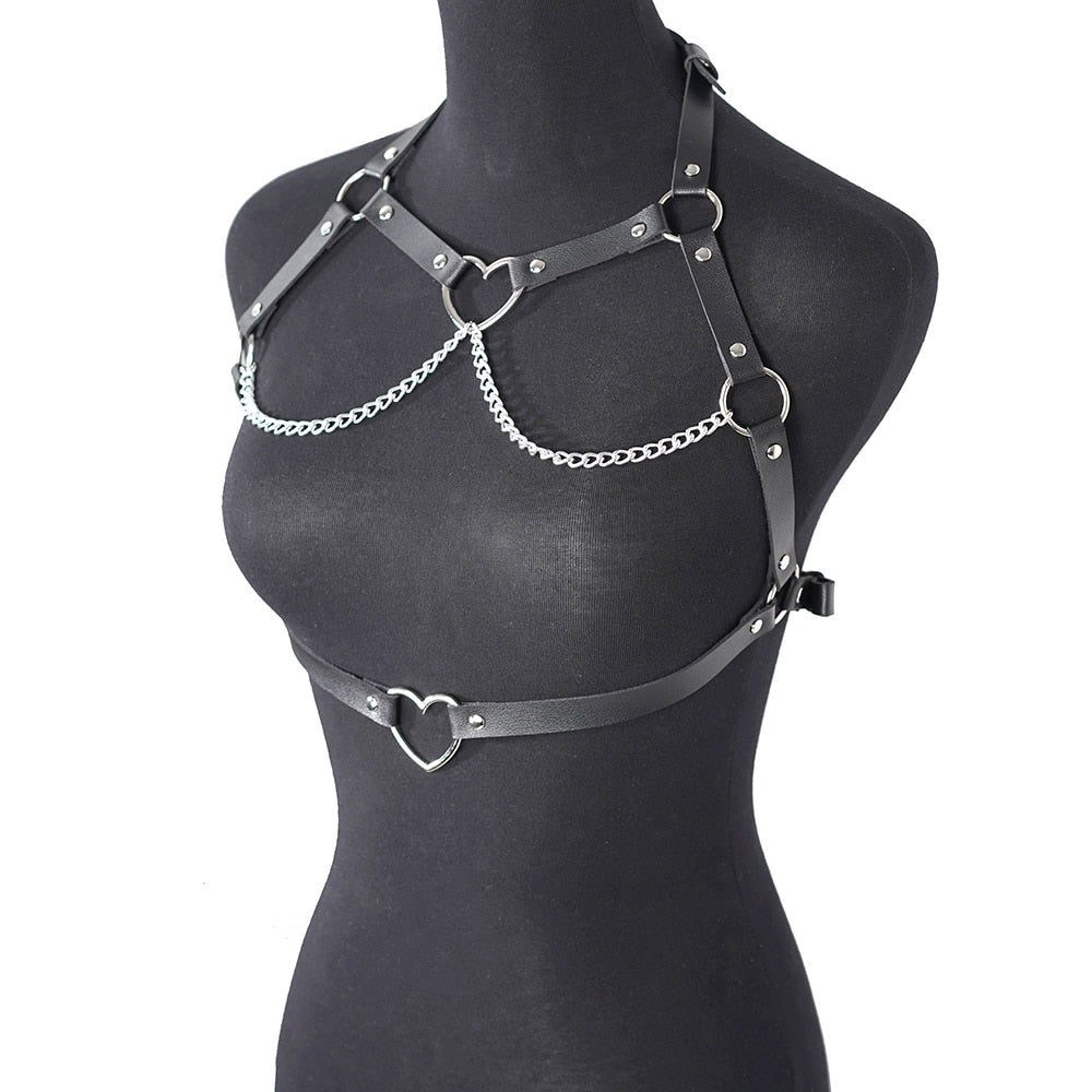 Variety of Body Harnesses