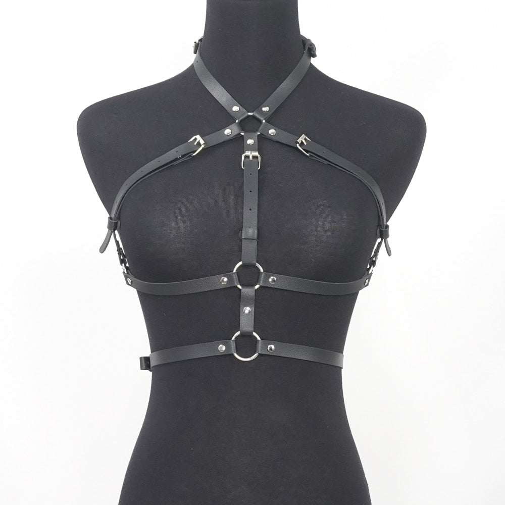 Variety of Body Harnesses