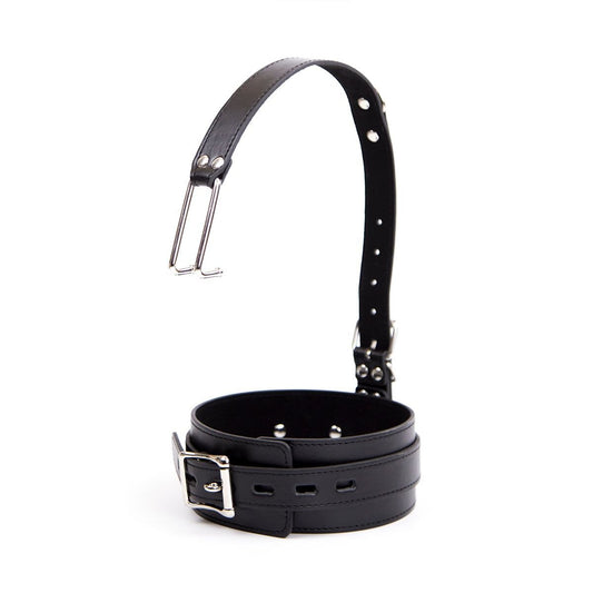 Buckle Collar with Detachable Nose Hooks