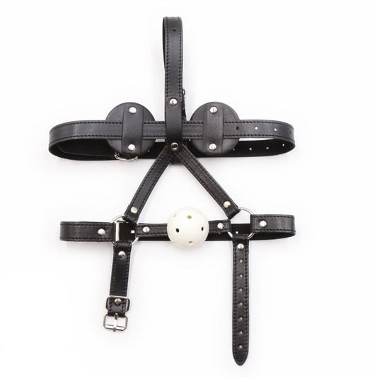 Adjustable Blindfold + Ball Gag